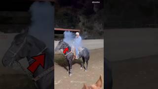 Why Do Cowboys’ Saddles Smoke When Catching Wild Horses? #shorts