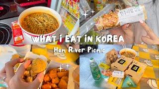 What I eat in Korea | Han River Picnic