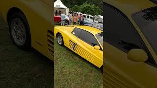 Here is the video POV of photographing this beautiful Ferrari.