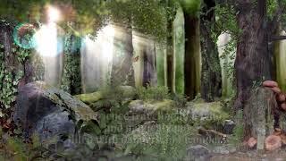 Lawless Ads on Hella Vella! Gindlina Good Witch of the West Full HD ad Winter 2021