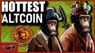 HOW TO Stake Your Ape Society (#1 Cardano NFT Ultimate Guide)