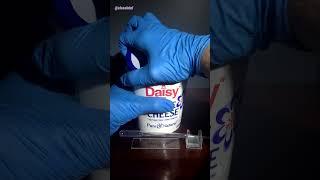 Cottage Cheese Under Microscope (Bacteria/Probiotics)