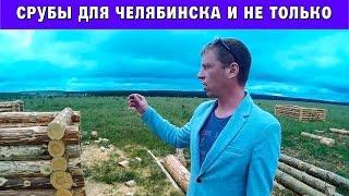 Срубы для бани и дома в Челябинске