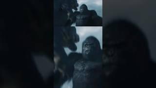 #godzillaxkong #kvg #godzilla #kong #funny #animation