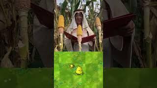 PVZ Plants in real life 