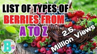 LIST OF TYPES OF BERRIES FROM A TO Z