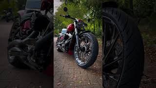 Custom Harley Breakout