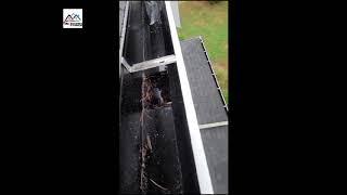 Free Roof Estimation| How to get free roof inspection. Pro roof Inspection