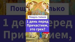 Пощусь только 1 день перед Причастием, это грех? Священник Антоний  Русакевич