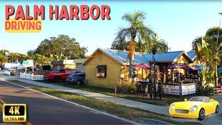 Palm Harbor Florida Driving Through