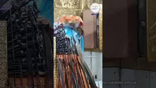 21.05.2025 MORNING Gurbani Kirtan | Takhat Sachkhand Sri Hazoor Abchal Nagar Sahib |  Nanded |