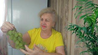 Продукты с базара.Цены на продукты.