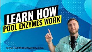 How do Pool Enzymes work?