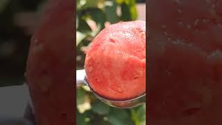 Fresh pink guava sweet home tree #agriculture #guava #fruit #home