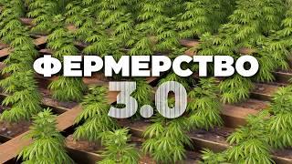ПОЛНЫЙ гайд по ФЕРМЕРСТВУ 3.0 - Генетика, Пчелы, Куры [Rust/Раст]