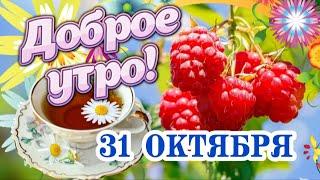 Доброго утра и ещё лучшего дня! ️ Доброго утречка Вам! Самые теплые пожелания с Добрым утром! 