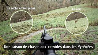 Une saison de chasse aux cervidés dans les Pyrénées - Saison 2