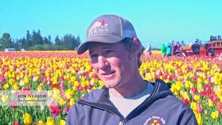 Wooden Shoe Tulip Farm