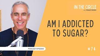 Am I addicted to sugar? | In The Circle with Tommy Rosen 74