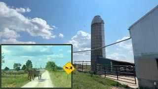 SWISS AMISH SUNDAY EPISODE 8- Meadowlark Crew Visits Cousins During Missouri Log Home Build,