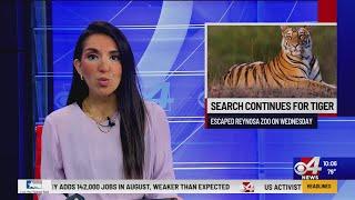 Search continues for escaped tiger