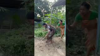 # Swrkwba bunagwi swrkwba bubao# Sort comedy 