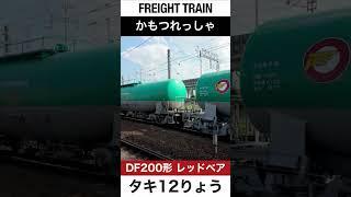 【タキ・ジョイント音】JR東海道本線を走る貨物列車【電車が大好きな子供向け】Japanese Trains for Kids - Freight Train