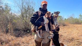 Blessed Outdoors Rabbit Hunting Movie 2024