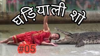 CROCODILE SHOW on Bihar Darshan