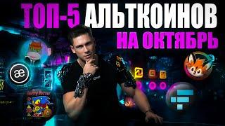 АЛЬТКОИНЫ 2024: ТОП 5 КРИПТОВАЛЮТ НА ОКТЯБРЬ | HAMSTER KOMBAT НОВОСТИ | BITCOIN ТЫ КУДА