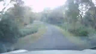 Driving to Lyrebird Cottages