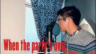 Billie Eilish - when the party’s over (Cover)