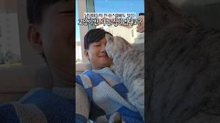 40마리의 고양이와 함께한 고영주택 후기