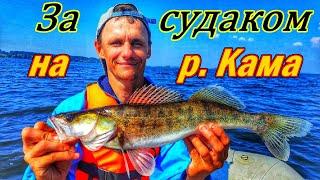 ЛОВЛЯ СУДАКА НА ДЖИГ/РЫБОЛОВНОЕ ПУТЕШЕСТВИЕ НА КАМУ/СПИННИНГ/СУДАК/РЕКА КАМА/ПОИСК И ЛОВЛЯ ХИЩНИКА