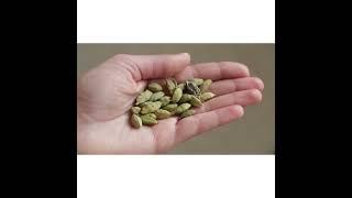 Pure Spice Bazaar, Green Cardamom Pods Spice (Hari Elachi) 3.5oz (100g)