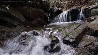 Водопады В Джунглях Индии. Девственная Природа Гималаев. Meghalaya.India.Waterfalls