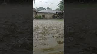 small view of village rain || the suriya show|| #shorts #indianvloger #villagevlogger