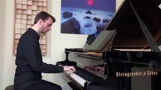 Holger Stief - Swansong (original composition)