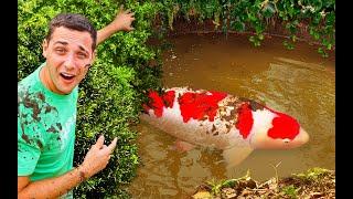 I Found Rare MONSTER Fish in a Mud Pond