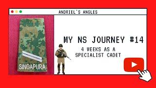 My NS Journey #14 - ONE MONTH IN SCS