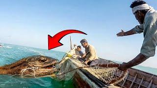 These Fishermen Captured What No One Was Supposed to See!