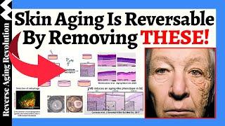 Skin Aging Reversal Is Possible By Removing THESE!!!