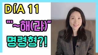 [고급문장-DÍA 11]   "~해(라)" 스페인어 명령형!┃나의 하루 한줄 스페인어┃스페인어 회화┃스페인어공부