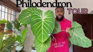 The Philodendron tour that will leave you shooketh!