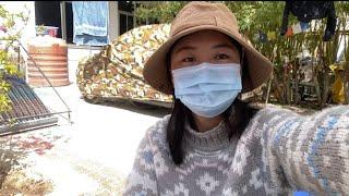 Life in Ladakh  || Home sweet home  || Tibetan Vlogger