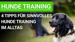  Stephanie Salostowitz: 4 Tipps für sinnvolles Hunde Training im Alltag ️