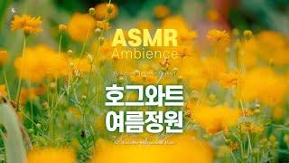 헤르미온느와 론, 해리 그리고 대왕오징어가 빈들거리는 오후[호그와트 여름정원] ASMR