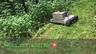 Ferngesteuerter Raupenmulcher