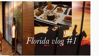 FLORIDA VLOG ROUND UP PART 1/GOING TO STORES AROUND US/LOTS OF STUDYING/OUT WITH FRIENDS