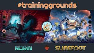 Norin vs. Slimefoot & Squee - Duel Commander - EDH│MTG│bitzelberg